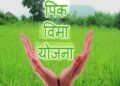 २०२५ च्या पीकविम्याचा मार्ग मोकळा; केंद्राच्या TAC ने विमा कंपनीचे अपील फेटाळले; ७ दिवसांत भरपाई खात्यात जमा करण्याचे आदेश