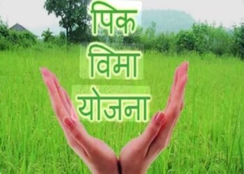२०२५ च्या पीकविम्याचा मार्ग मोकळा; केंद्राच्या TAC ने विमा कंपनीचे अपील फेटाळले; ७ दिवसांत भरपाई खात्यात जमा करण्याचे आदेश