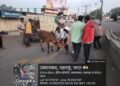 धाराशिव शहरात मोकाट जनावरांवर कारवाई; सात जनावरे ताब्यात   अतिक्रमण विरोधात उद्यापासून धडक कारवाई