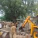 ढोकी येथील शासकीय जागेवरील अतिक्रमणाचा वाद पुन्हा पेटला रोपवाटिकेच्या कर्मचाऱ्यांना धक्काबुक्की, कपडे फाडून मारहाण; २२ जणांवर गुन्हा दाखल